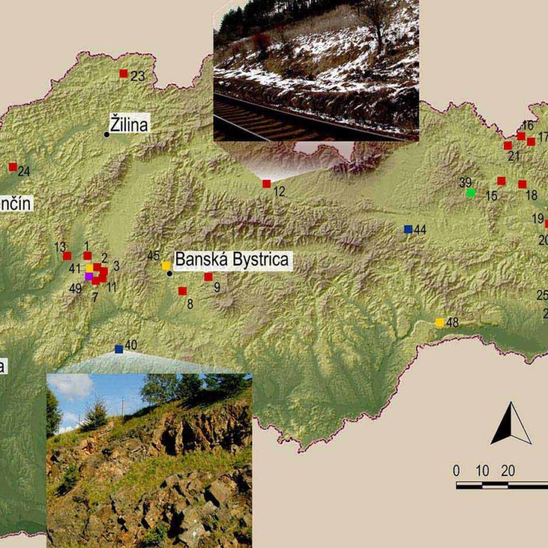 cmsgf banner Liscak 1