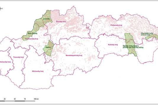 a1 identifikacia Liscak