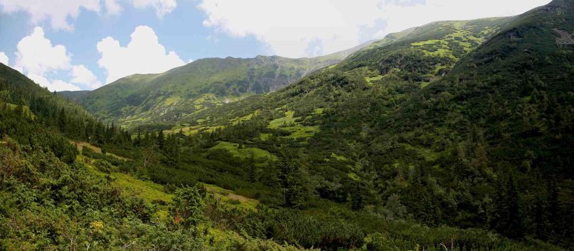 ziarska dolina hranica lesa upr v25 1