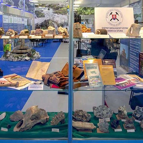 SGUDS Coneco 2018 05 1