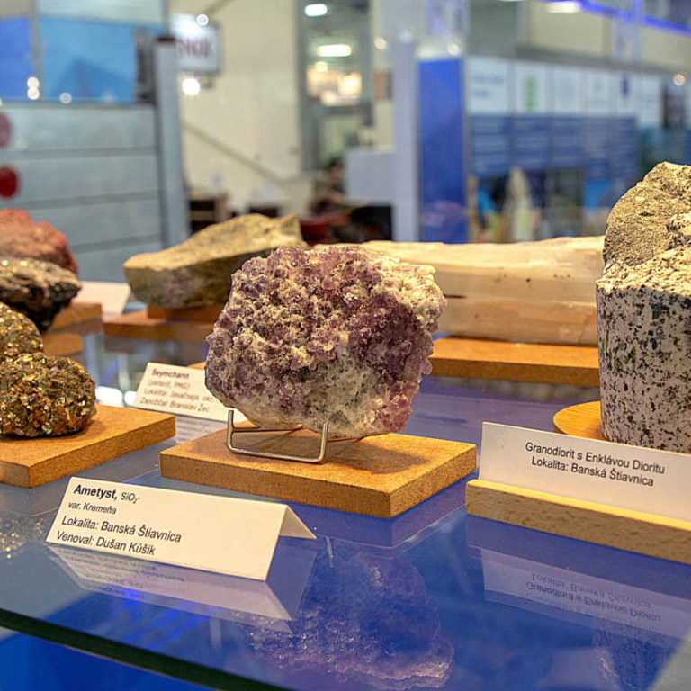 SGUDS Coneco 2018 06