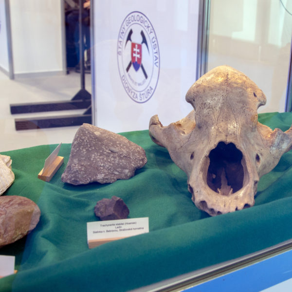 SGUDS Coneco 2018 07