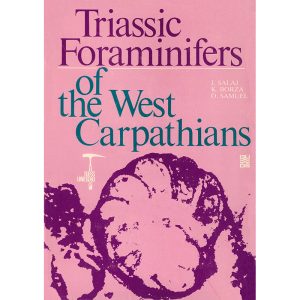 ob_PUB_TriassicForaminifers