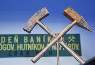 001_Salamander_2019_sl_sch