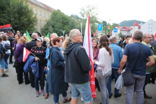 001_Salamander_2019_spr