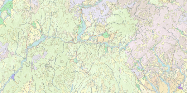 Prehľadná geologická mapa kvartéru